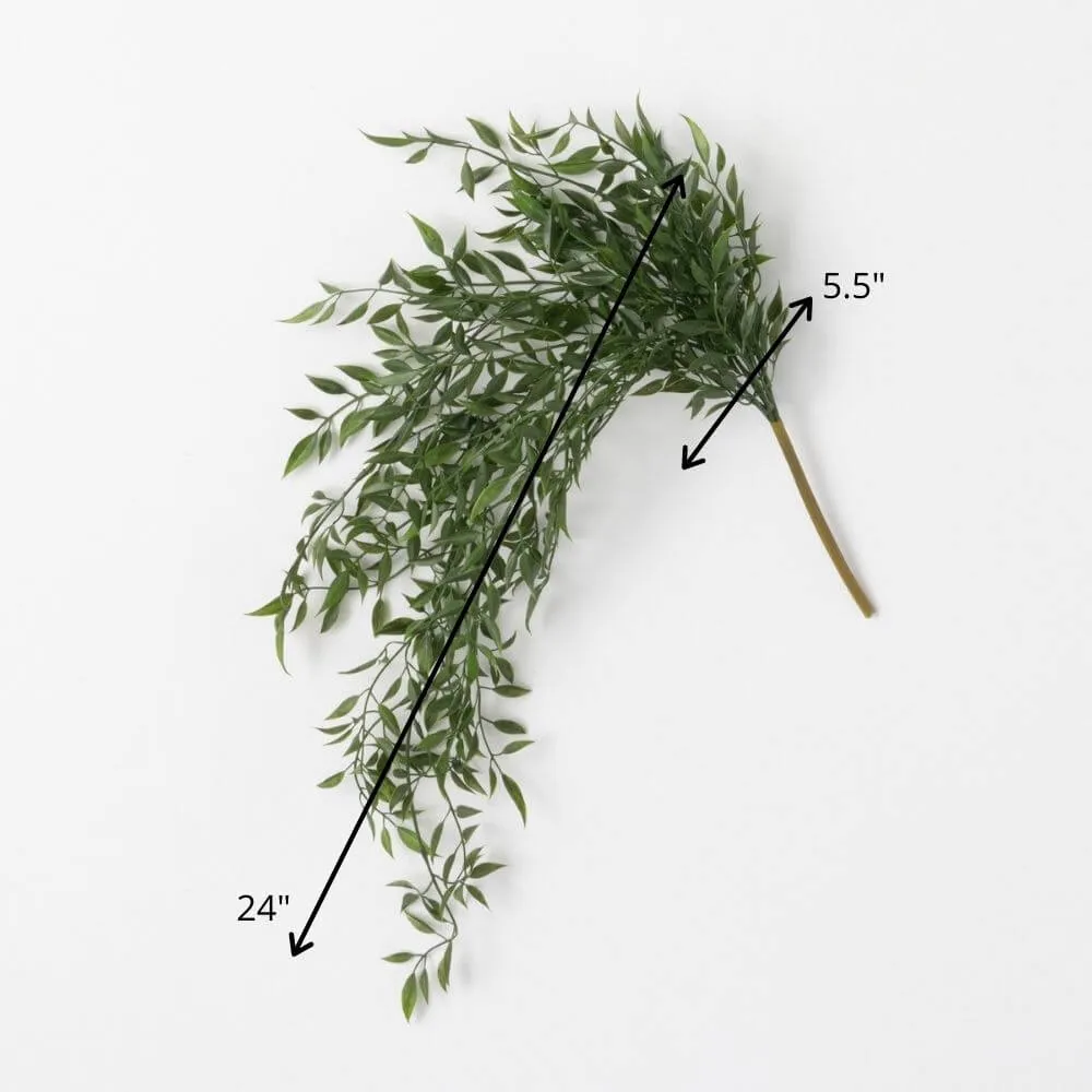 Draping Green Ruscus Bush