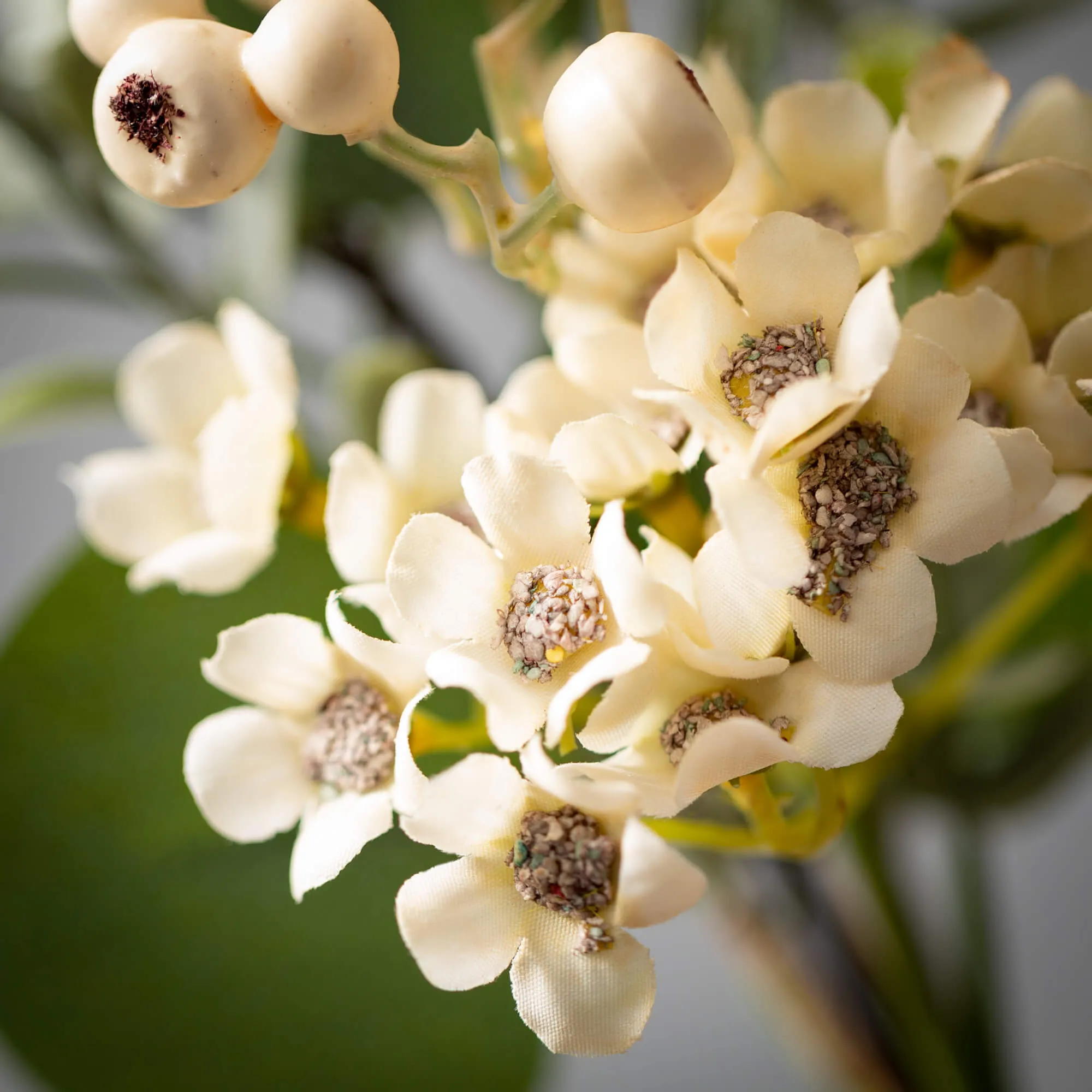 Eucalyptus & Waxflower Pick