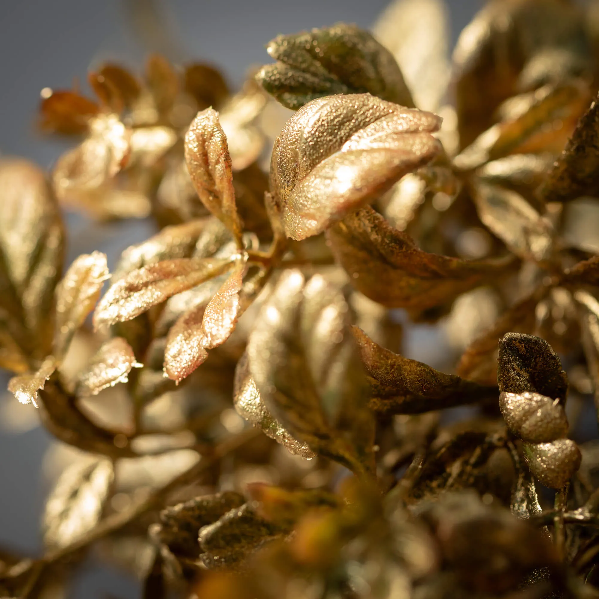 Gilded Gold Spray