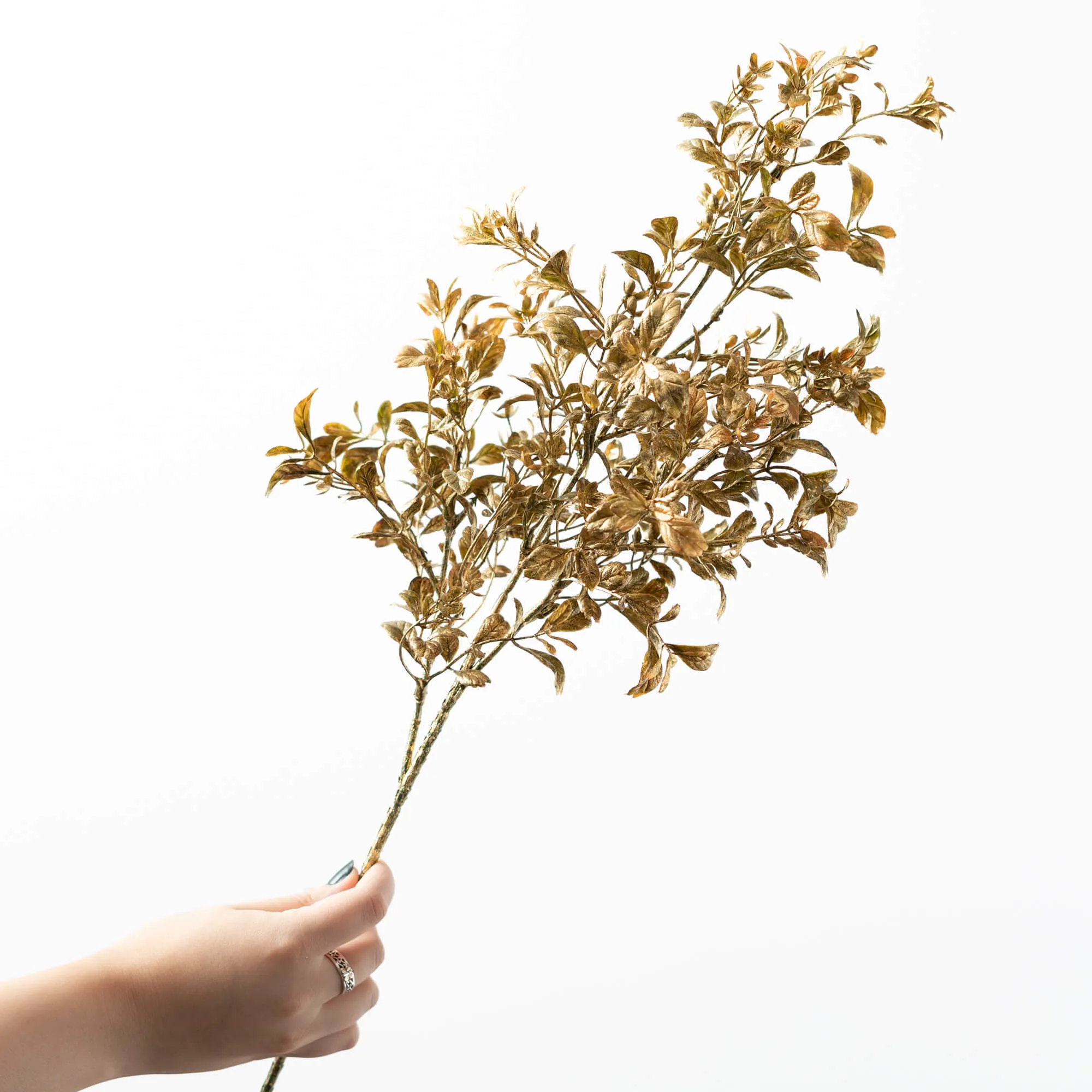 Gilded Gold Spray